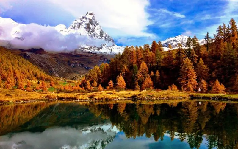 智能系统全自动